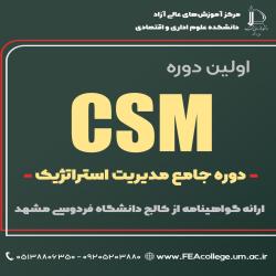 آغاز ثبت نام اولین دوره جامع مدیریت استراتژیک CSM